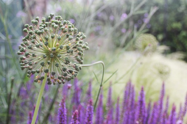 Didsbury Garden