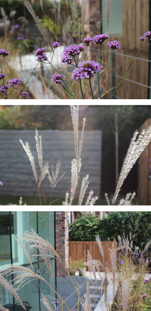 Didsbury Garden